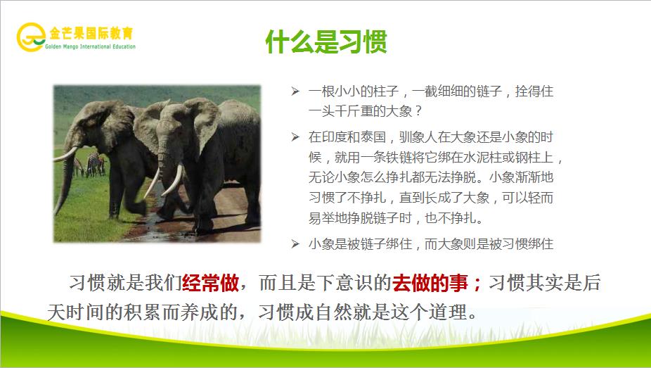什么是习惯.jpg
