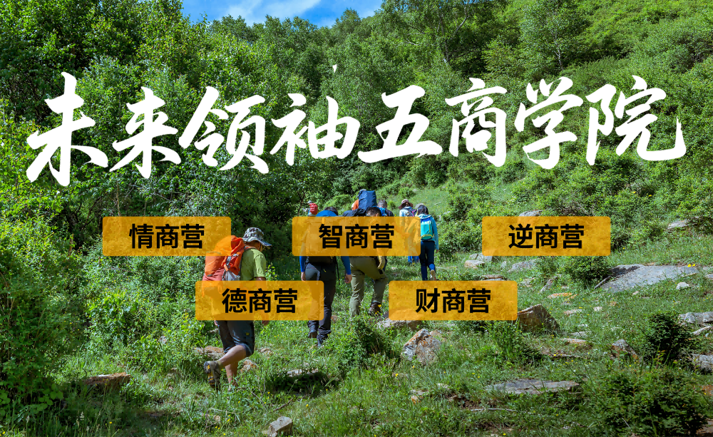 金芒果教育|2025青少年未来领袖五商夏令营--VIP综合营