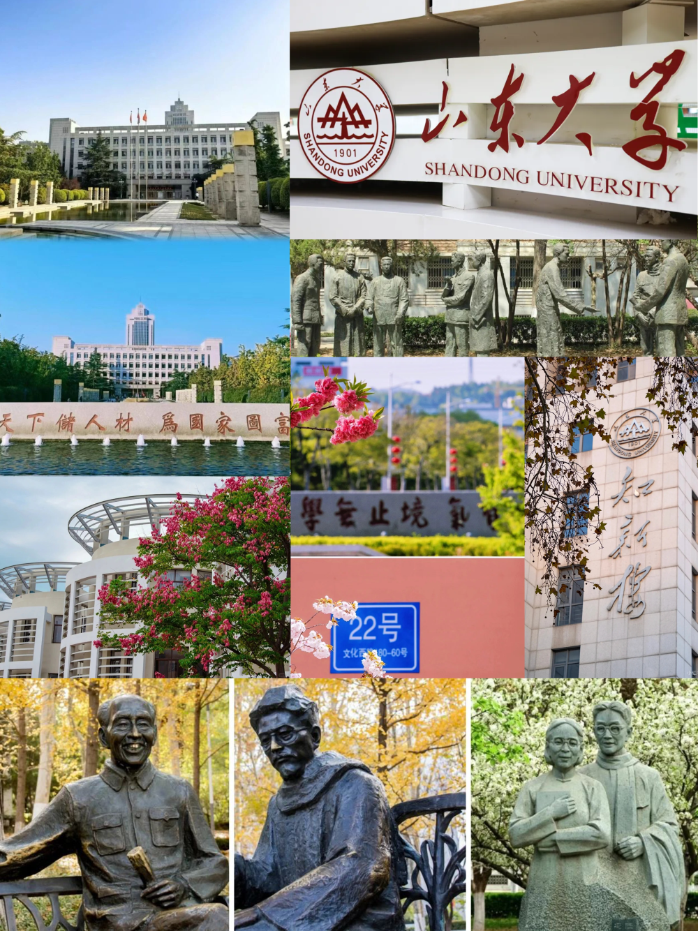 05山东大学.png