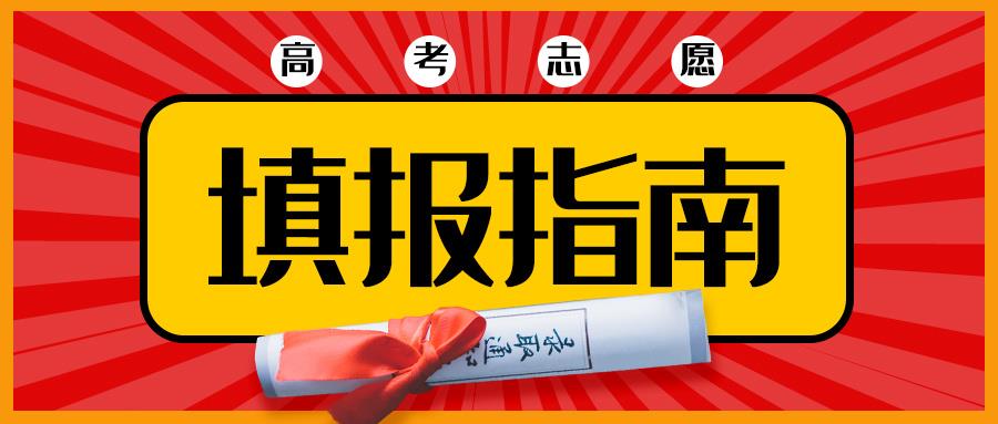 金芒果教育|分数之外，人生也有辽阔山河