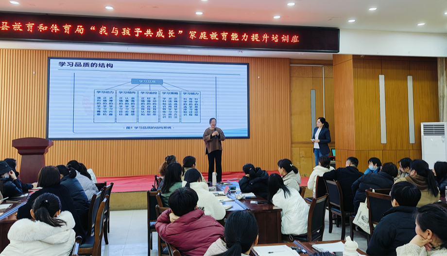 金芒果教育|不能容忍孩子不优秀是个什么心态